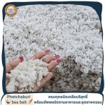 ดอกเกลือแท้ราคาส่ง มีเก็บเงินปลายทาง