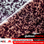 สีฝุ่น Powder Coat ราคา