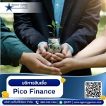 โปรแกรมบริหารสินเชื่อ PICO Finance - รับทำโปรแกรมสินเชื่อ - Agencygenius