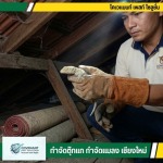 บริการจับตุ๊กแกถึงบ้าน โทรเรียกด่วน - กำจัดตุ๊กแก กำจัดปลวก เชียงใหม่