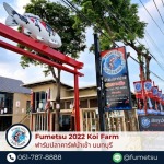 ฟาร์มปลาคาร์ฟนำเข้าญี่ปุ่น