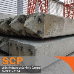 โครงสร้างภายในเสาเข็ม