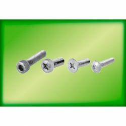Screw head, Chiangmai