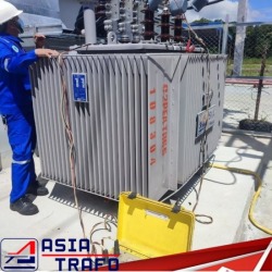 Electrical transformer maintenance