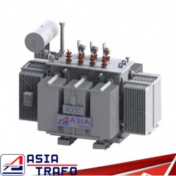 Oil Immersed Transformers