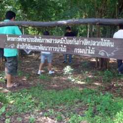บริการกำจัดปลวก