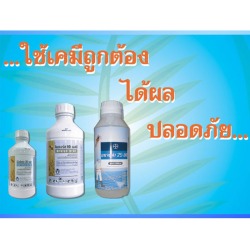 บริการกำจัดปลวก