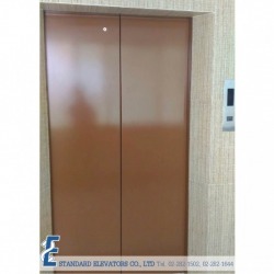  Passenger Elevator