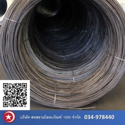 โรงงานผลิตลวดเหล็กคาร์บอนต่ำ