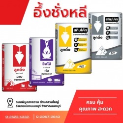 ปูนซีเมนต์ลูกดิ่ง นนทบุรี
