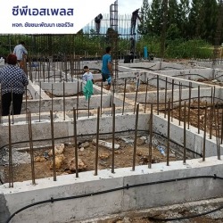 รับวางท่อปลวก