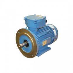 มอเตอร์กันระเบิด / Explosion Proof Motor 