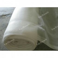 White Mung Insect