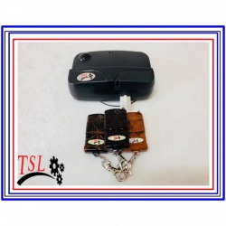 โรงงานผลิตรีโมทประตู TSL-101