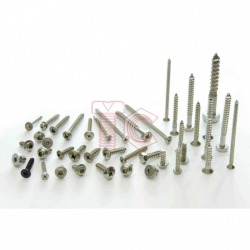 Screw Tapping Stainless - สกรูเกลียวปล่อย สแตนเลส