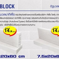 อิฐมวลเบาทีพีไอ TPI BLOCK