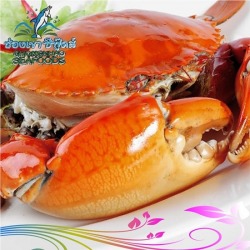 เมนูปู ช่องเขาซีฟู๊ดส์  หาดใหญ่