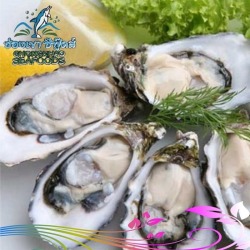เมนูหอย ช่องเขาซีฟู๊ดส์ หาดใหญ่