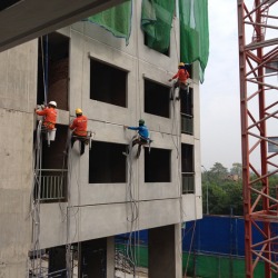 งานโรยตัว