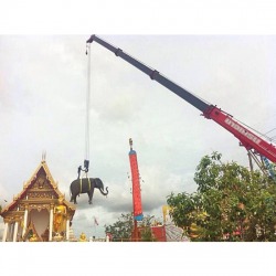 ซ่อมดามบลูมเครน