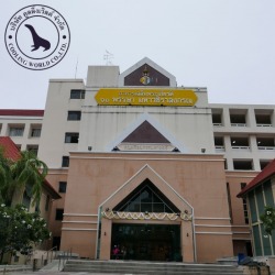 ขายแอร์อาคาร สำนักงาน และสถานที่ประกอบการทุกประเภท