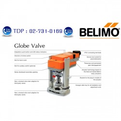 Globe Valve