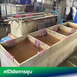 รับทำบ่อชุบตามสั่ง