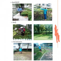รับดูแลสวน