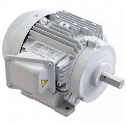Toshiba electric motor