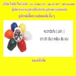 หมวกป้องกันศีรษะ อุปกรณ์ป้องกันภัย อุปกรณ์ความปลอดภัย