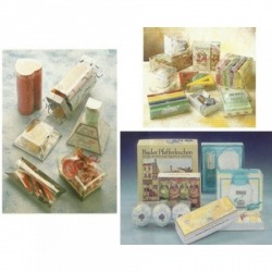 Plastic Food Container Factory