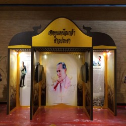 จัดนิทรรศการ