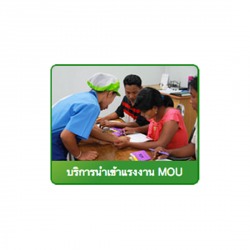 MOU นำเข้าระหว่างประเทศ