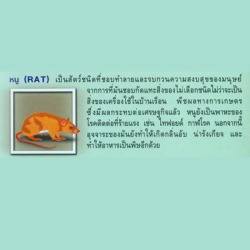 กำจัดปลวก