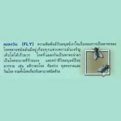 กำจัดปลวก