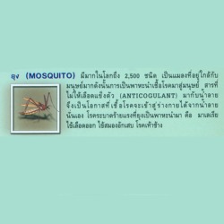 กำจัดปลวก