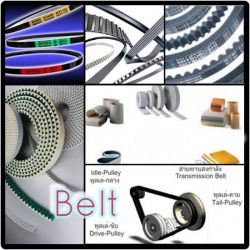 Belt