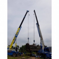 Move big trees