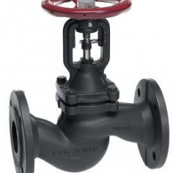 Globe Valve