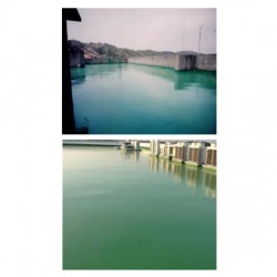 สีกันซึม Polyurethane Waterproof
