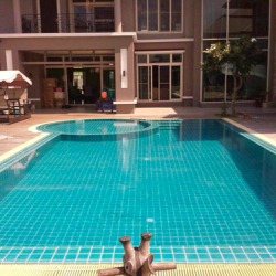Swimming Pool : Free Form