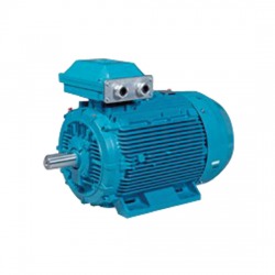 Motor B5