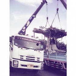 ขนย้ายของหนัก