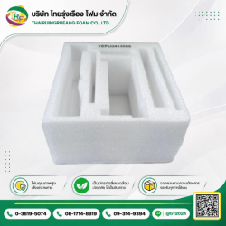 Molded EPE foam
