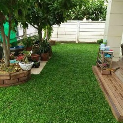 ไร่หญ้าจันทร์ศิริ