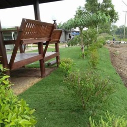 ไร่หญ้าจันทร์ศิริ
