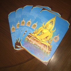 แผ่นพับ พิษณุโลก