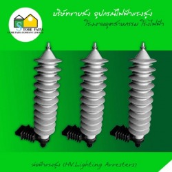 ล่อฟ้าแรงสูง (H.V Lightning Arresters)