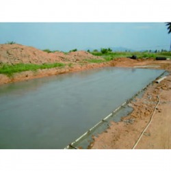 งานพื้นบ้าน, โรงรถ, ตลาด, เต็นท์รถ, ลานทั่วไป