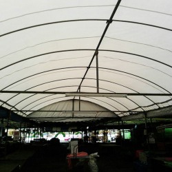 ซื้อ-ขายเต็นท์